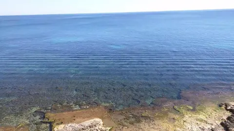 Апартаменты 122 м², Торревьеха, фото 2