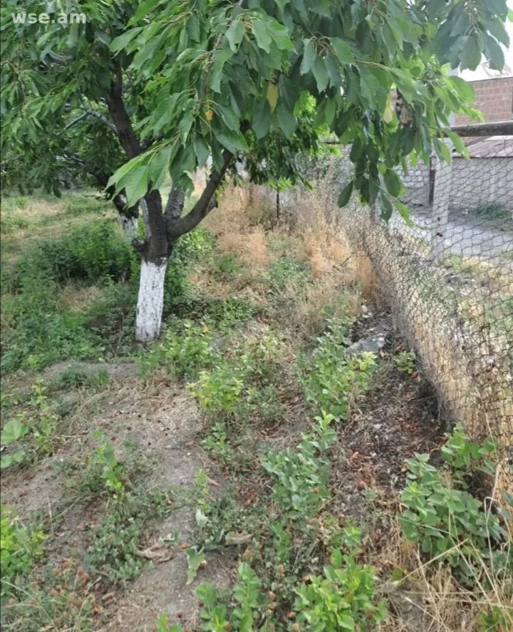 Участки в Абовяне: цены, направления, что учесть