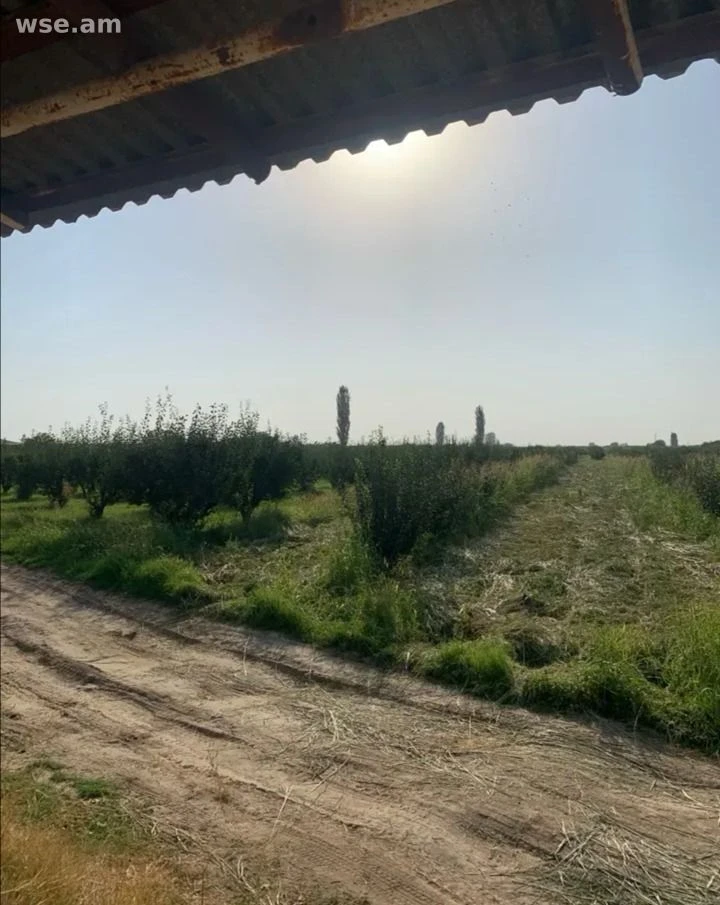 Участок сельхоз, 360 соток, Ханджян, Армавирская область
