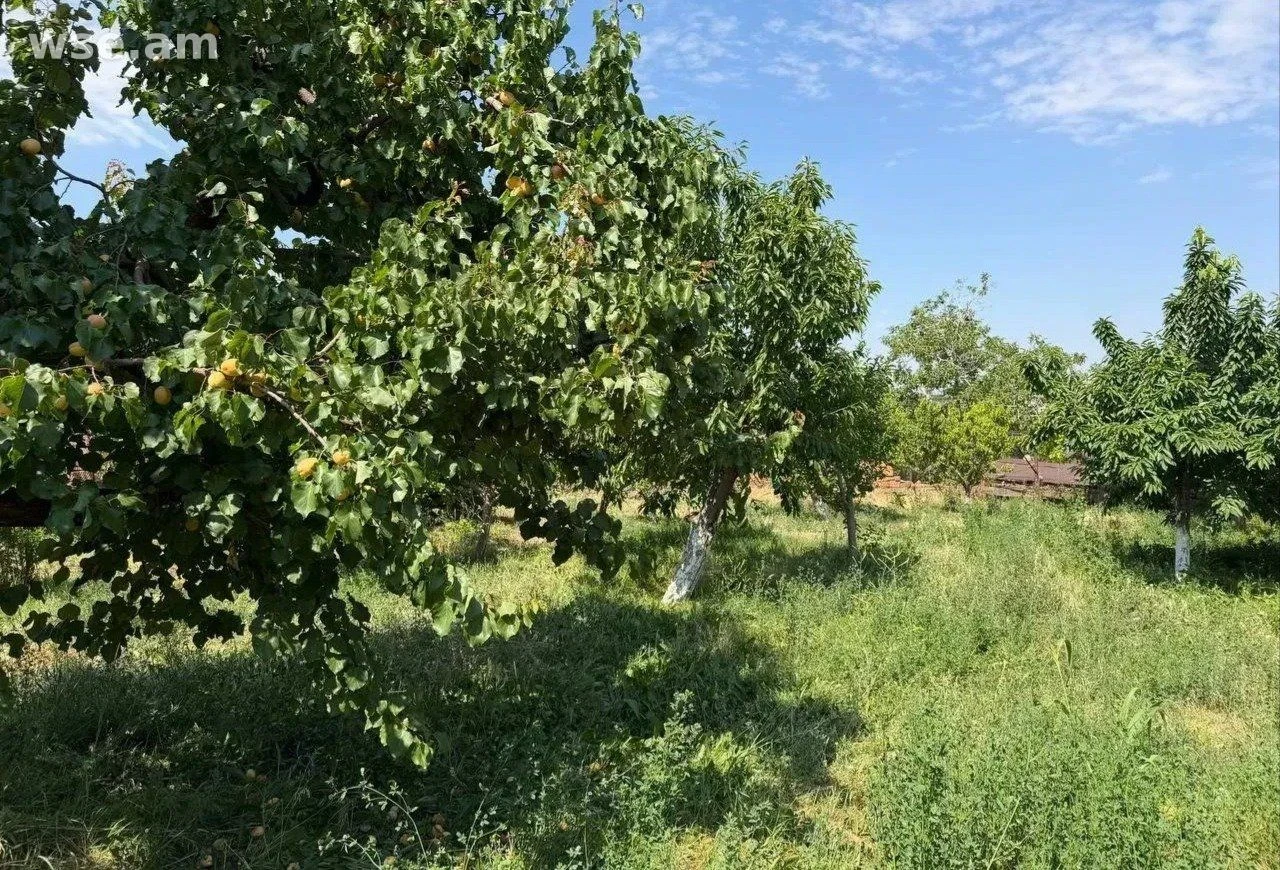 Բնակելի կառուցապատման հողամաս, 1 200 քմ, Խարբերդ