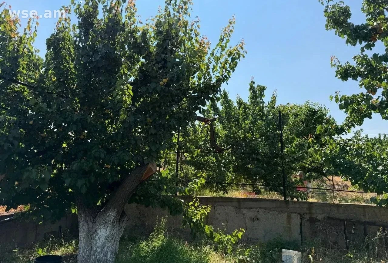 Բնակելի կառուցապատման հողամաս, 1 200 քմ, Խարբերդ