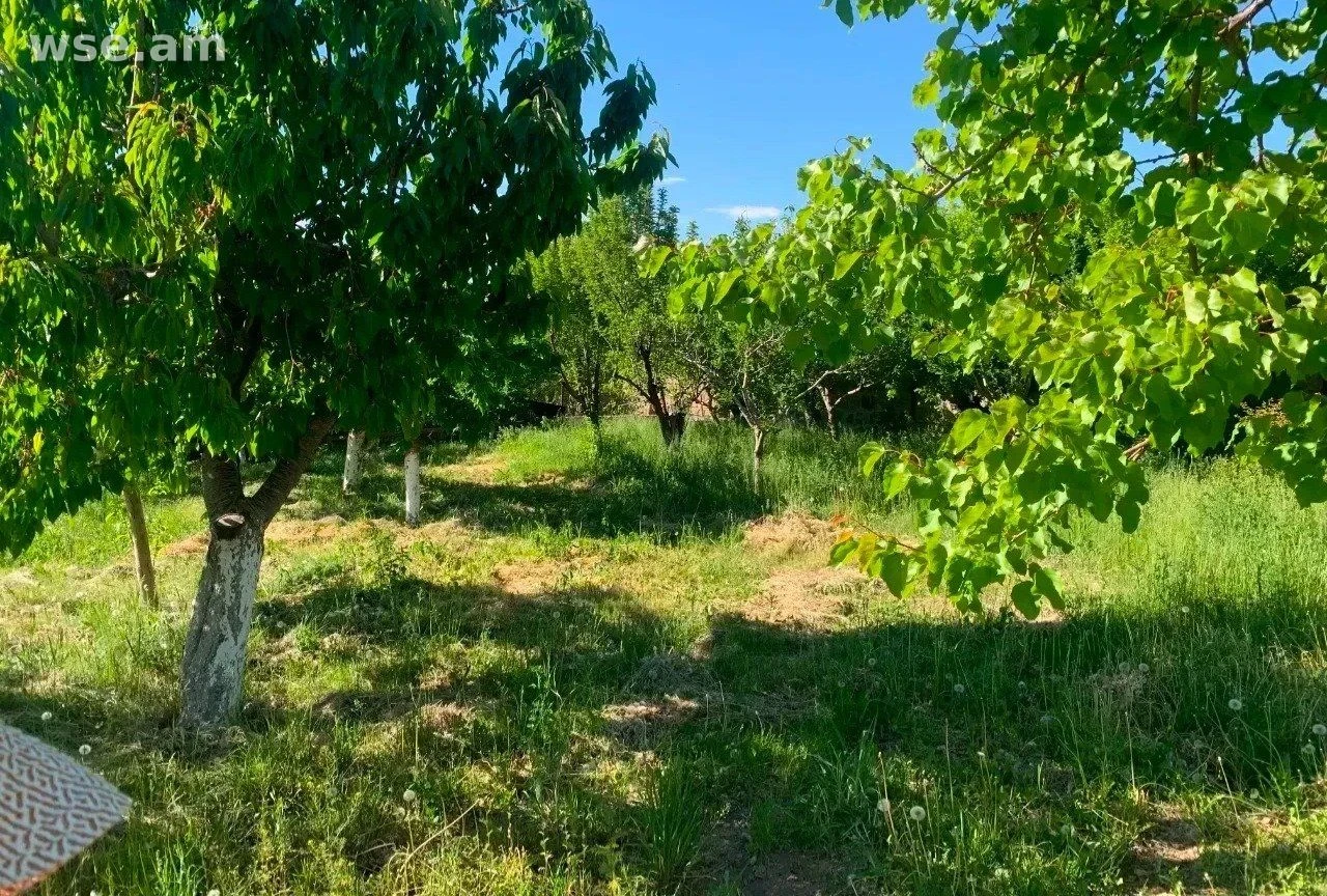 Բնակելի կառուցապատման հողամաս, 1 200 քմ, Խարբերդ