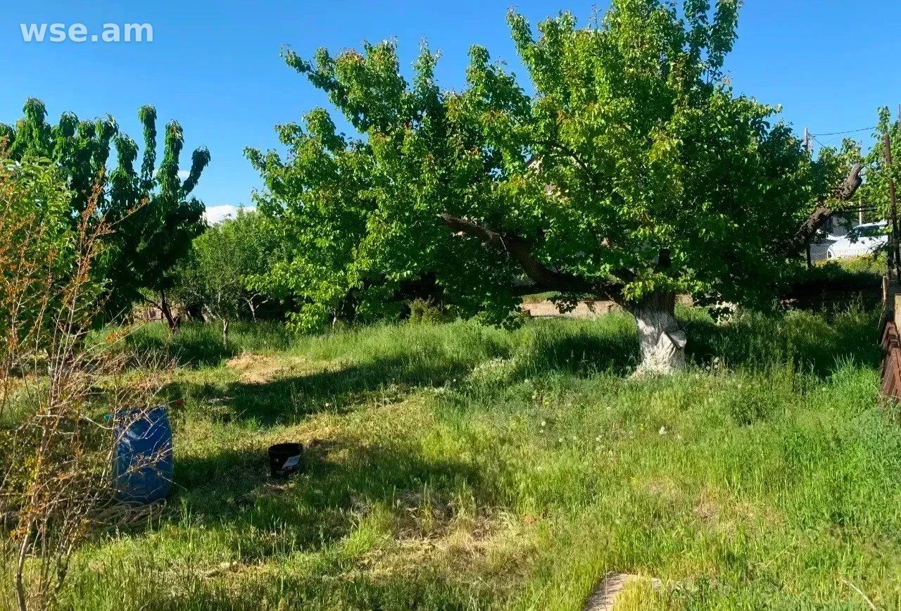 Բնակելի կառուցապատման հողամաս, 1 200 քմ, Խարբերդ