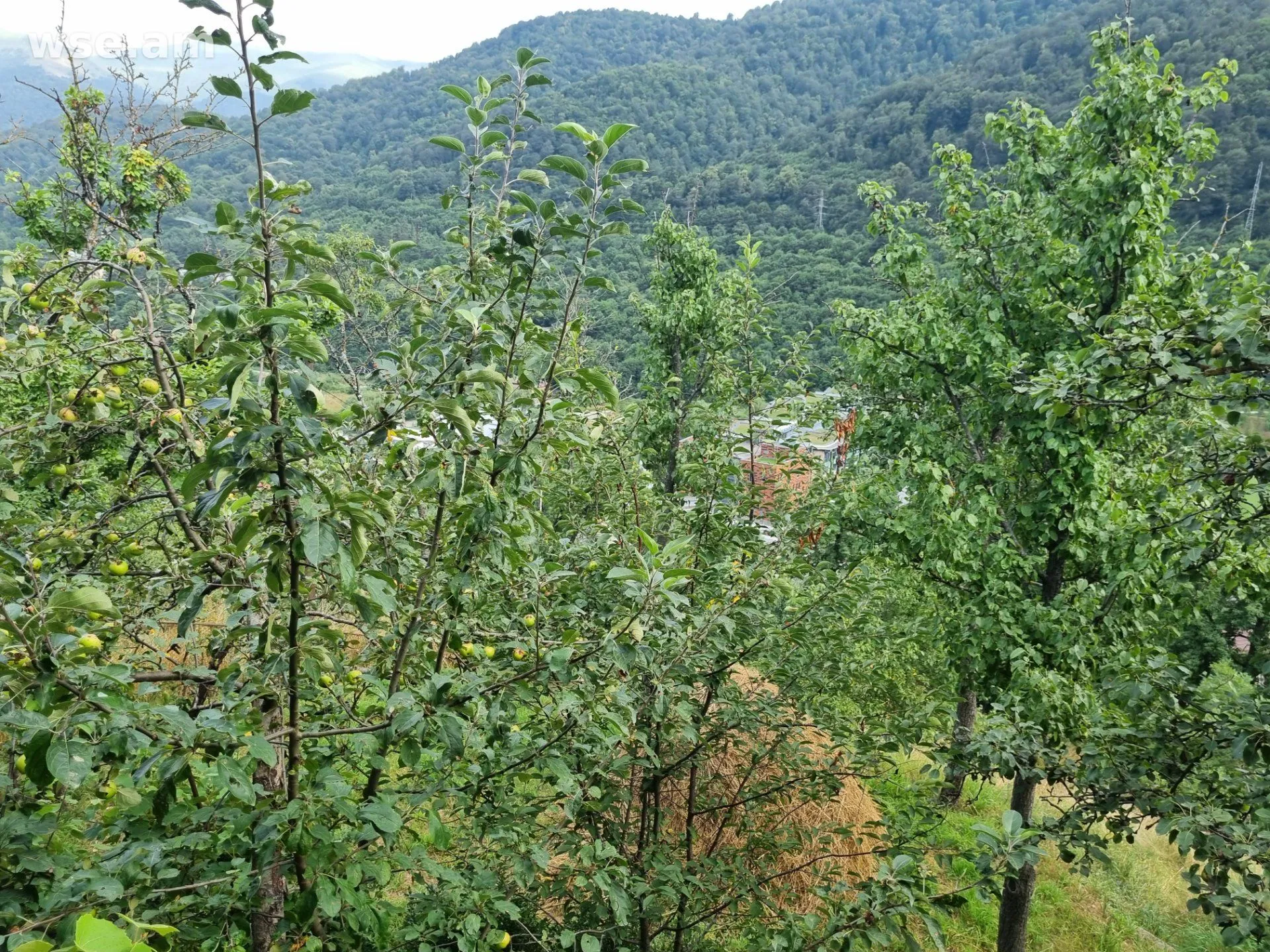 4-room house, 209 m², 2-storey, 1st lane Kamarina 29/1