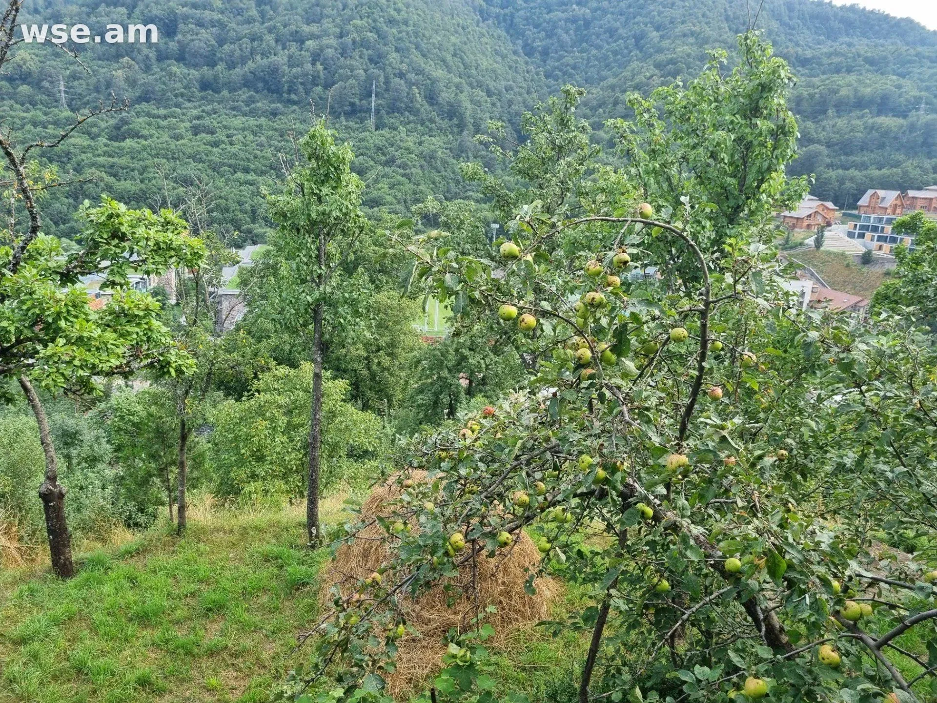 4-room house, 209 m², 2-storey, 1st lane Kamarina 29/1