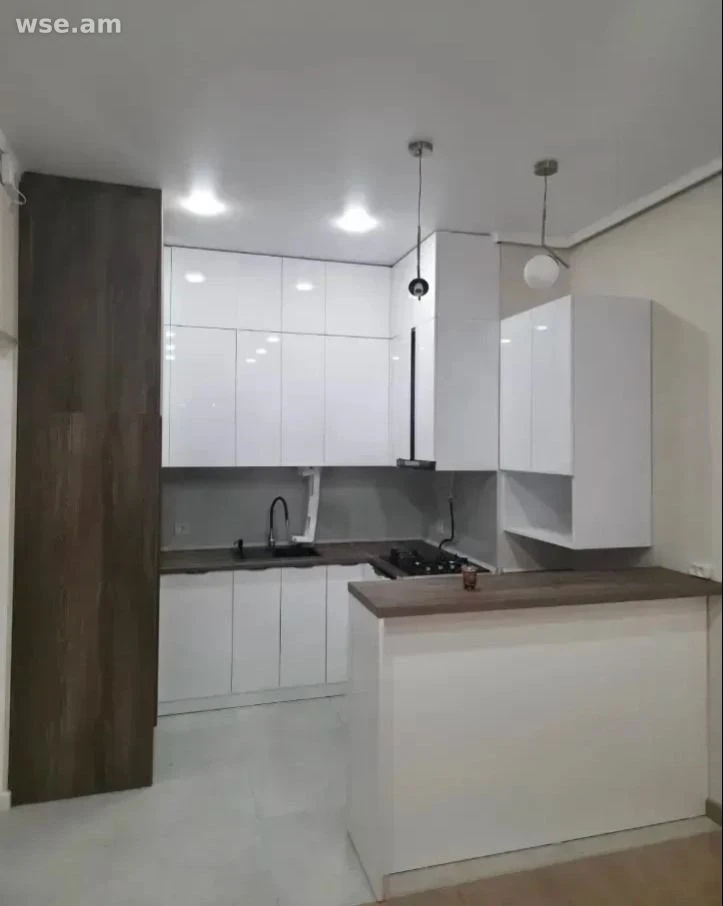 2-rooms, 60 m², 15/17 floor, Nikogaos Adonets street 19
