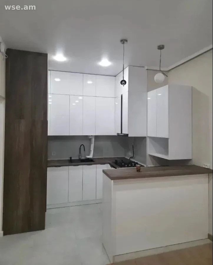 2-rooms, 60 m², 15/17 floor, Nikogaos Adonets street 19