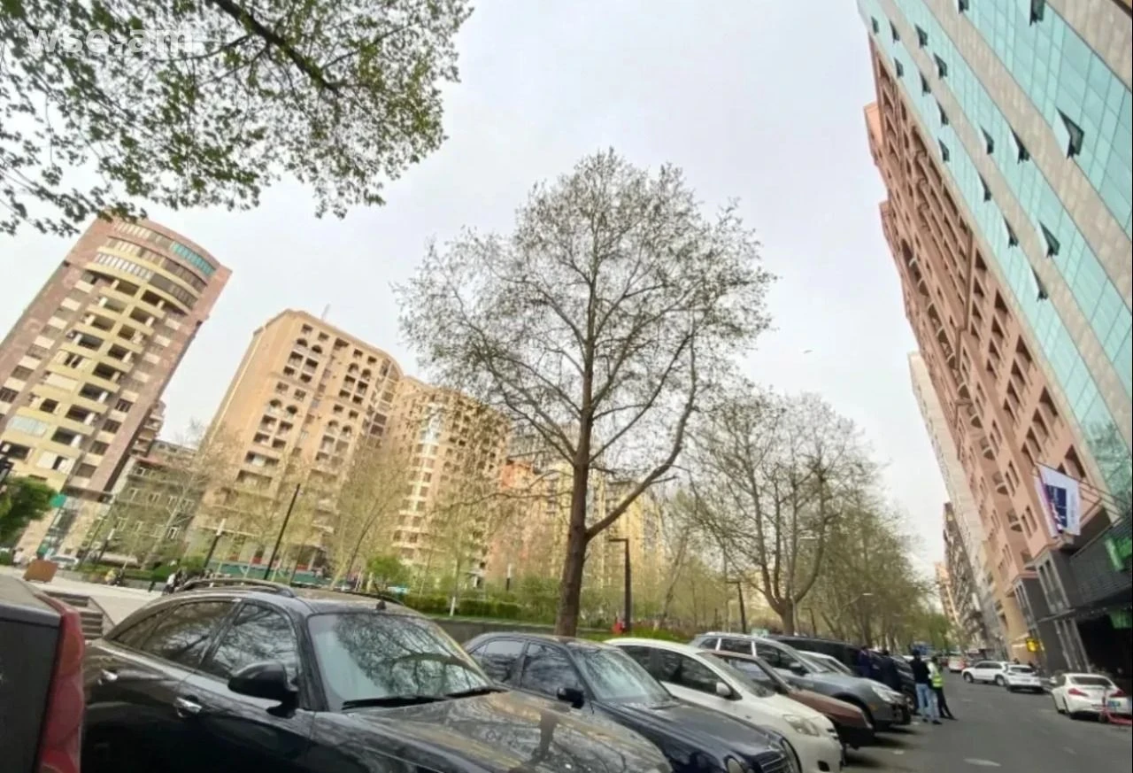 3-комн., 95 м², 5/16 эт., улица Павстоса Бузанда 97