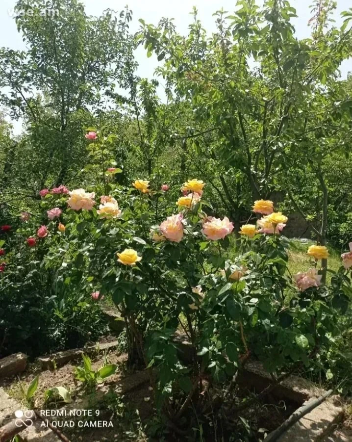 3 սենյականոց առանձնատուն, 105 քմ, 3 հարկանի, 34 - րդ փողոց 23