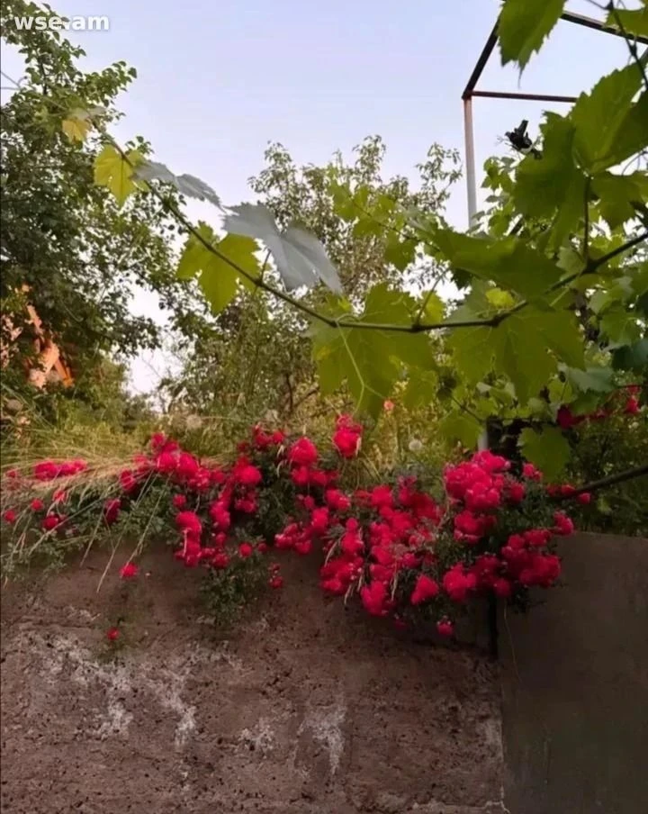 3 սենյականոց առանձնատուն, 105 քմ, 3 հարկանի, 34 - րդ փողոց 23