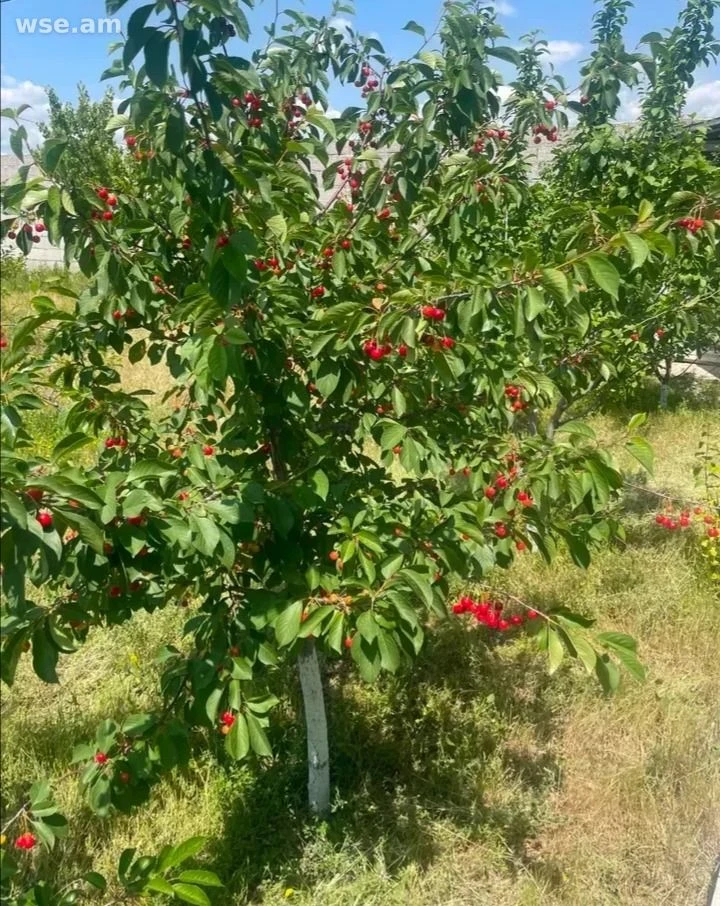 Land plot for a house, 420 m², Yeghvard Highway