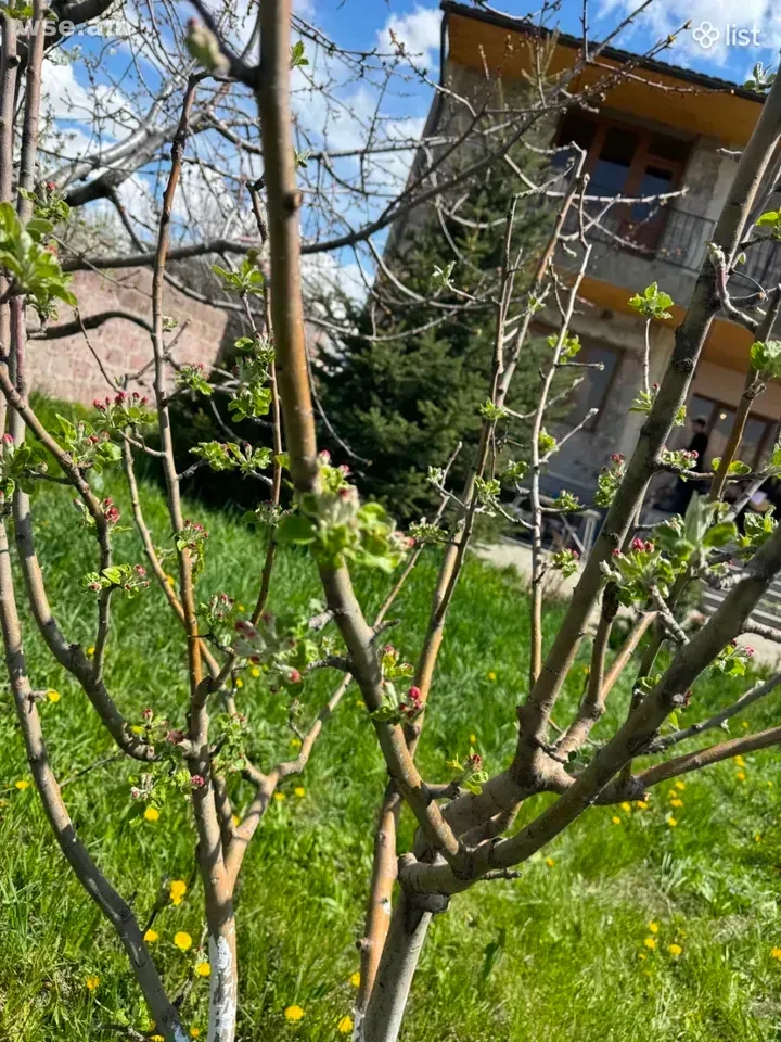 2-комн. дом, 250 м², 9-этажный, улица Кентронакан, Арамус, Котайкская область
