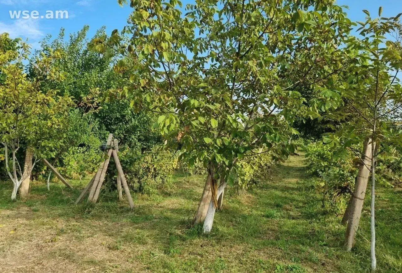 Участок сельхоз, 70 соток, Аштарак, Арагацотнская область