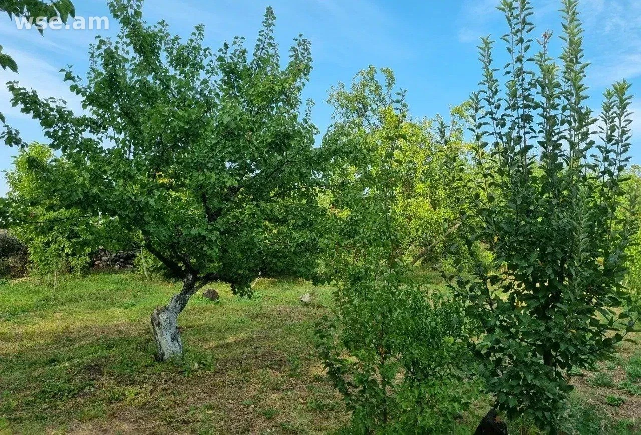 Участок сельхоз, 70 соток, Аштарак, Арагацотнская область