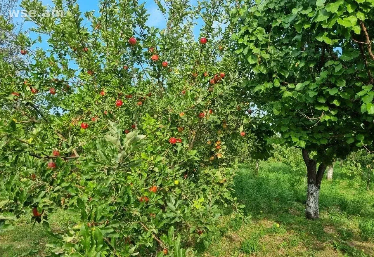 Участок сельхоз, 70 соток, Аштарак, Арагацотнская область