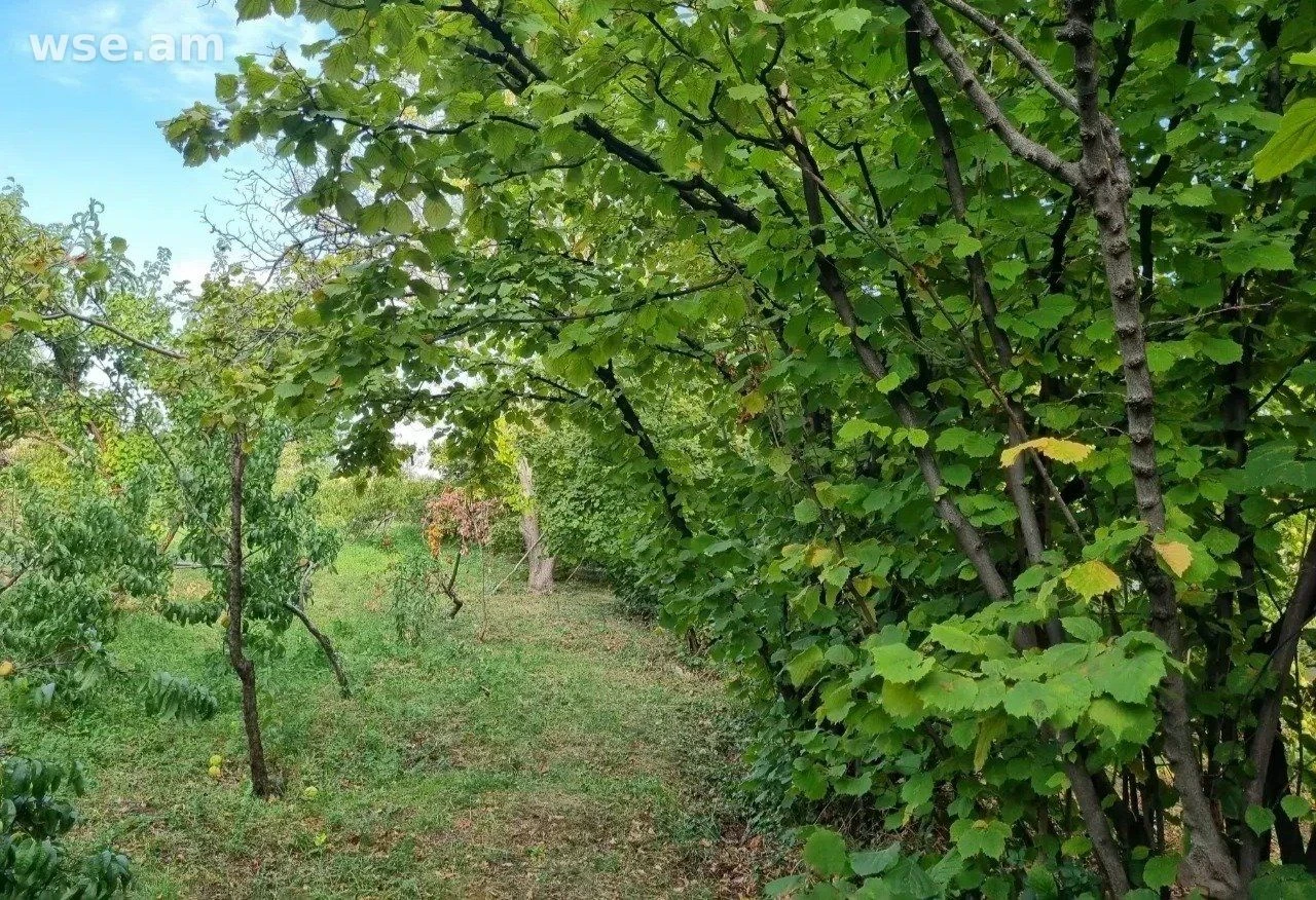 Участок сельхоз, 70 соток, Аштарак, Арагацотнская область