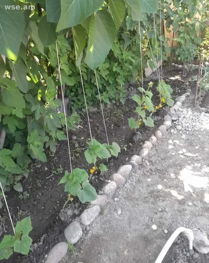 3-սենյականոց տուն, 120 մ², 2-հարկանի, 5-րդ փողոց 28