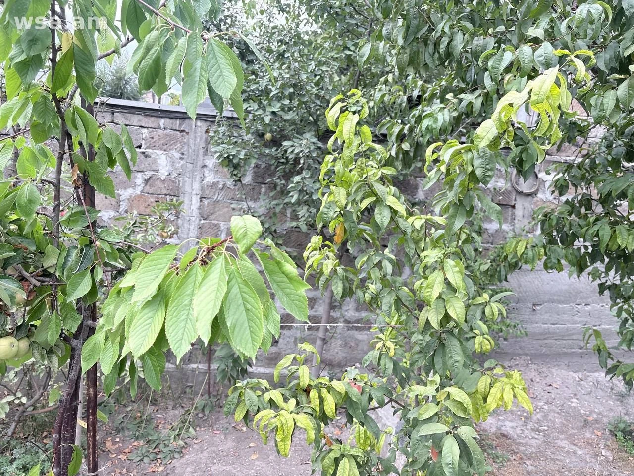 Land plot for a house, 565 m²