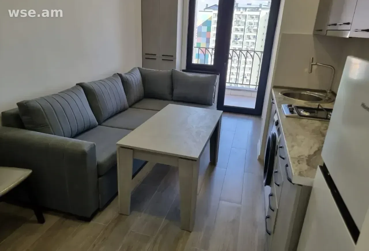 2室公寓, 40㎡, 契诃夫街 — 250 000 ֏ | WSE.AM