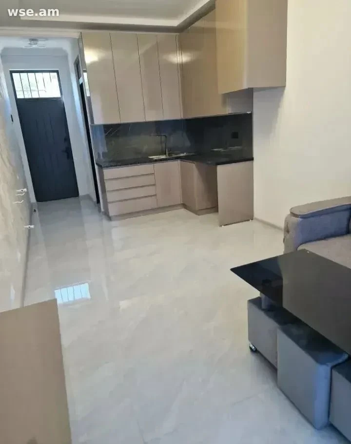 1-room, 25 m², 1/1 floor, Sebastia street 30
