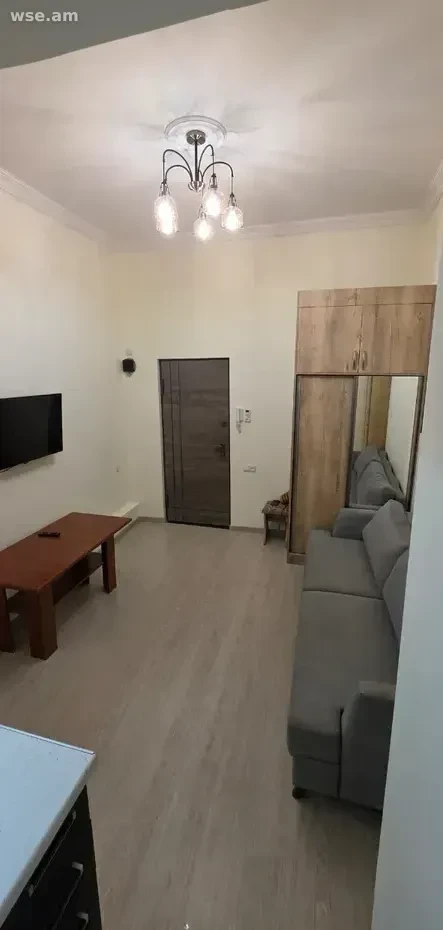 1-комн. квартира, 24м², улица Акоба Пароняна 11 - 310 000 ֏