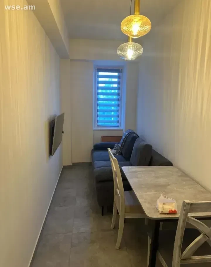 1-комн. квартира, 20м², улица Паруйра Севака 51/11 - 220 000 ֏