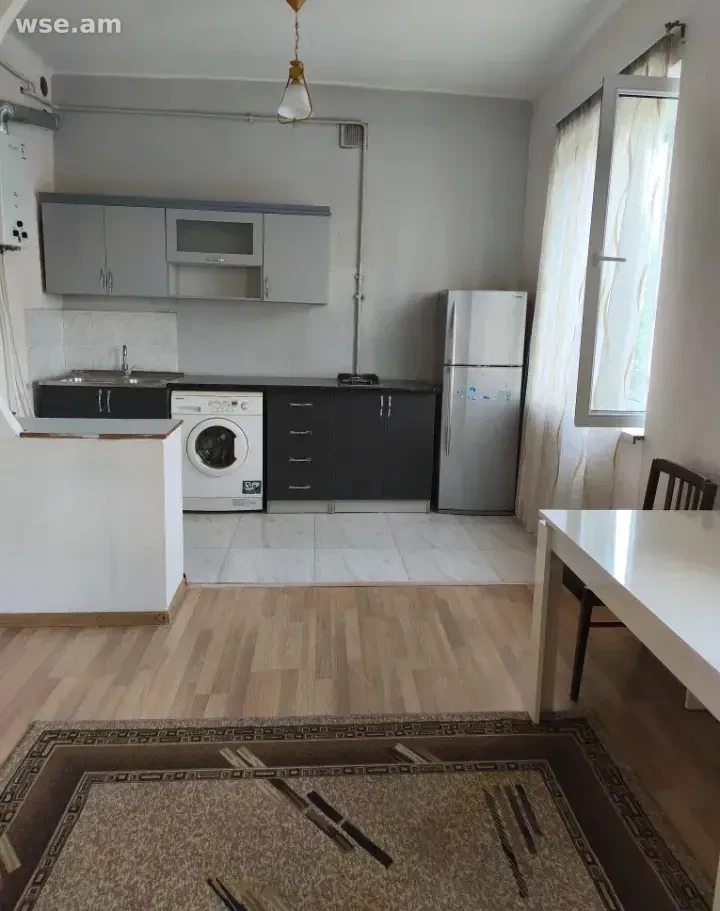 1-комн. квартира, 40м², улица Алабяна 5 - 250 000 ֏