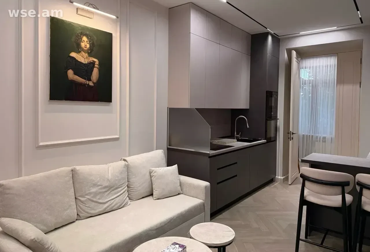 2-room (1-bedroom) apartment, 45m², 1 Tumanyan Street - 650 000 ֏